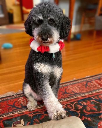 269601081_4632186353564287_2226435968372249692_n